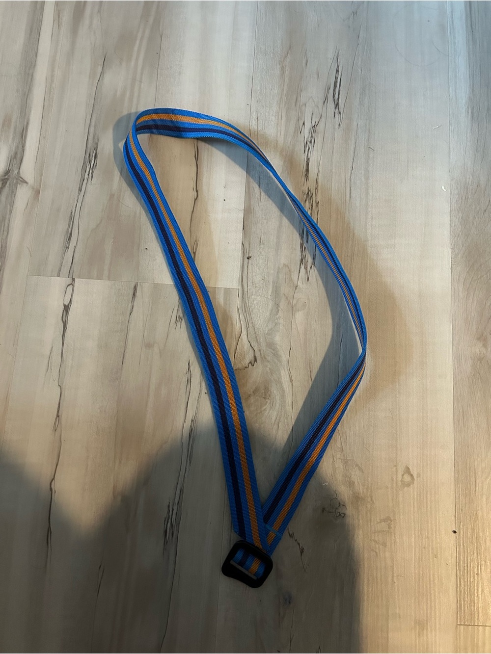 Patagonia Blue and Orange Webbing Belt